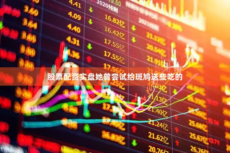 股票配资实盘她曾尝试给斑鸠送些吃的