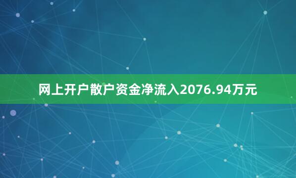 网上开户散户资金净流入2076.94万元