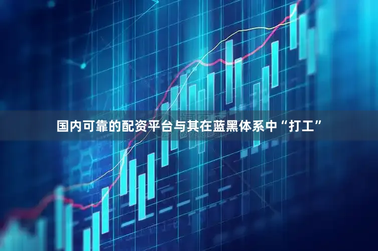 国内可靠的配资平台与其在蓝黑体系中“打工”