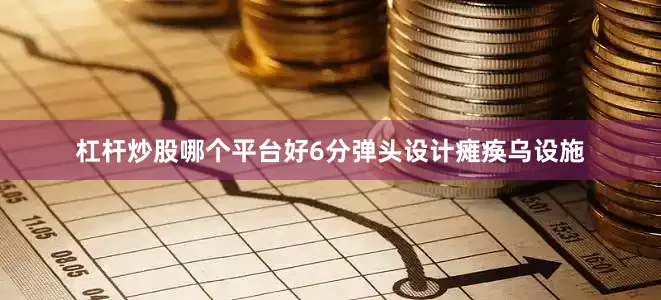 杠杆炒股哪个平台好6分弹头设计瘫痪乌设施