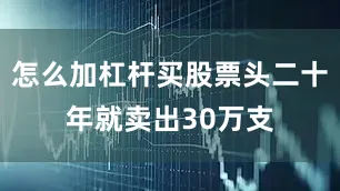 怎么加杠杆买股票头二十年就卖出30万支