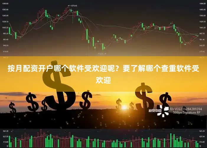 按月配资开户哪个软件受欢迎呢？要了解哪个查重软件受欢迎